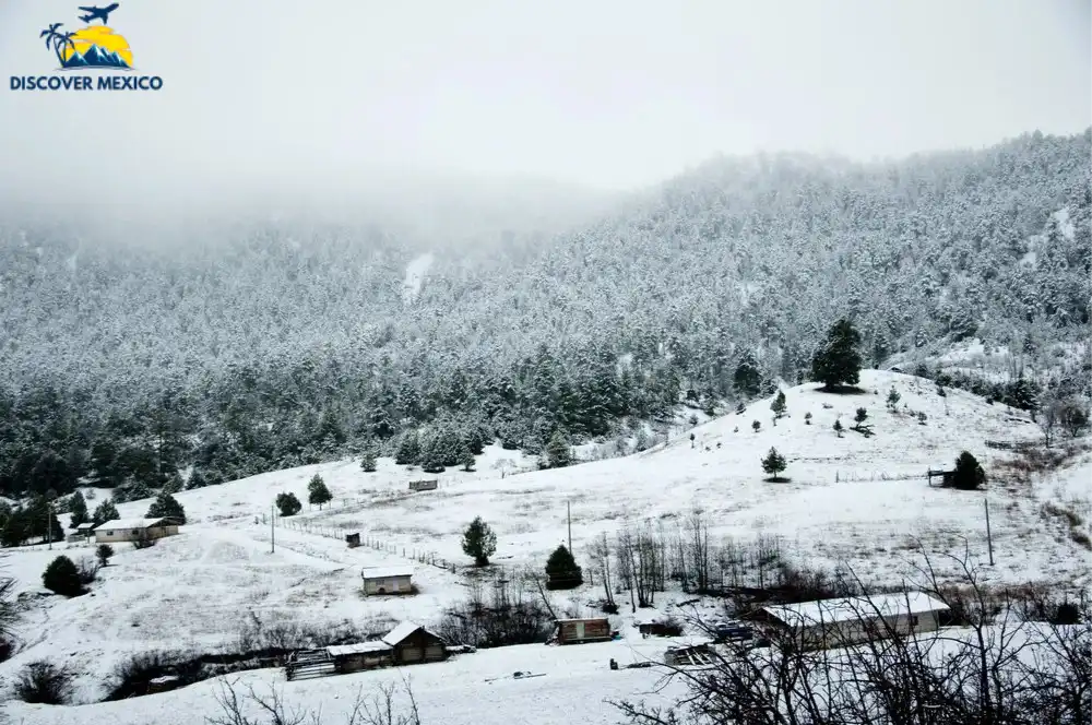 Does It Snow anywhere in Mexico? Discover the Unbelievable Truth ...